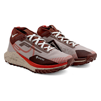 Nike Pegasus Trail 4 Gore-Tex DJ7929-200